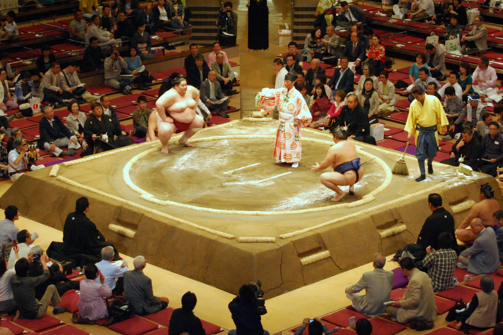 sumo