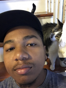 Cat Selfie small
